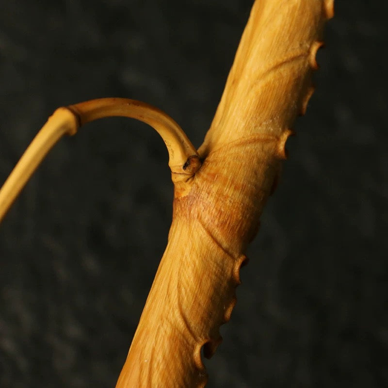 Handmade Bamboo Lotus Decor – Solid Carved Tea Room Centerpiece (Natural Aged Bamboo Art)