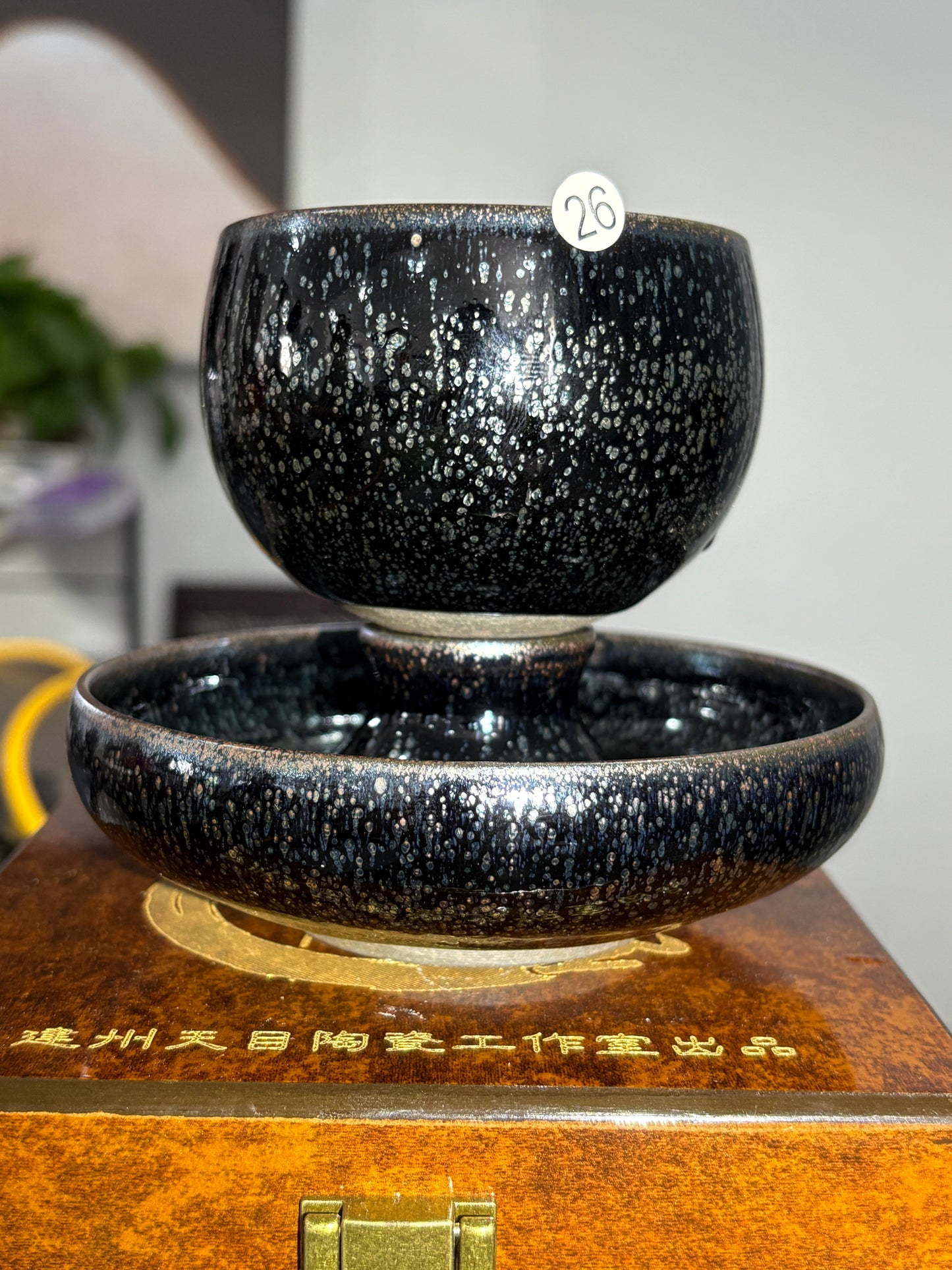 【Michael Pick】05.22