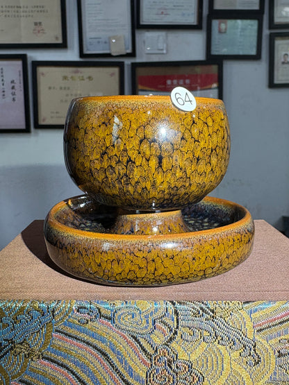 【Michael Pick】05.28