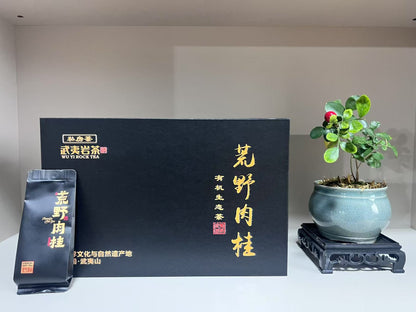 【Michael Pick】06.13