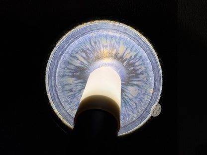 【Michael Pick】06.28