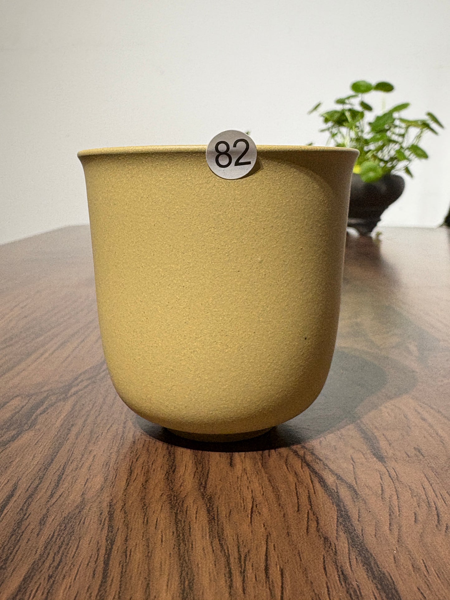 【Michael Pick】08.02