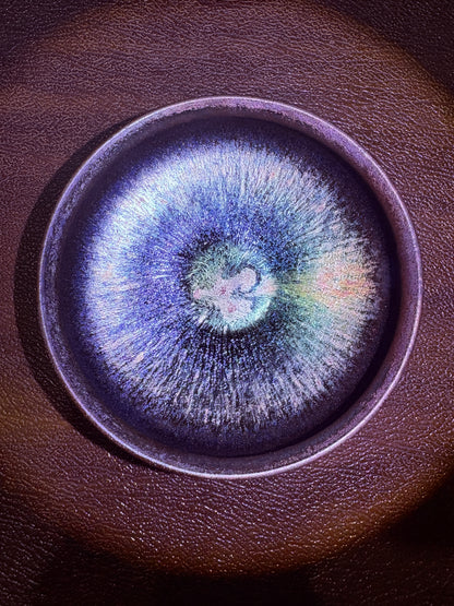 【Michael Pick】08.18