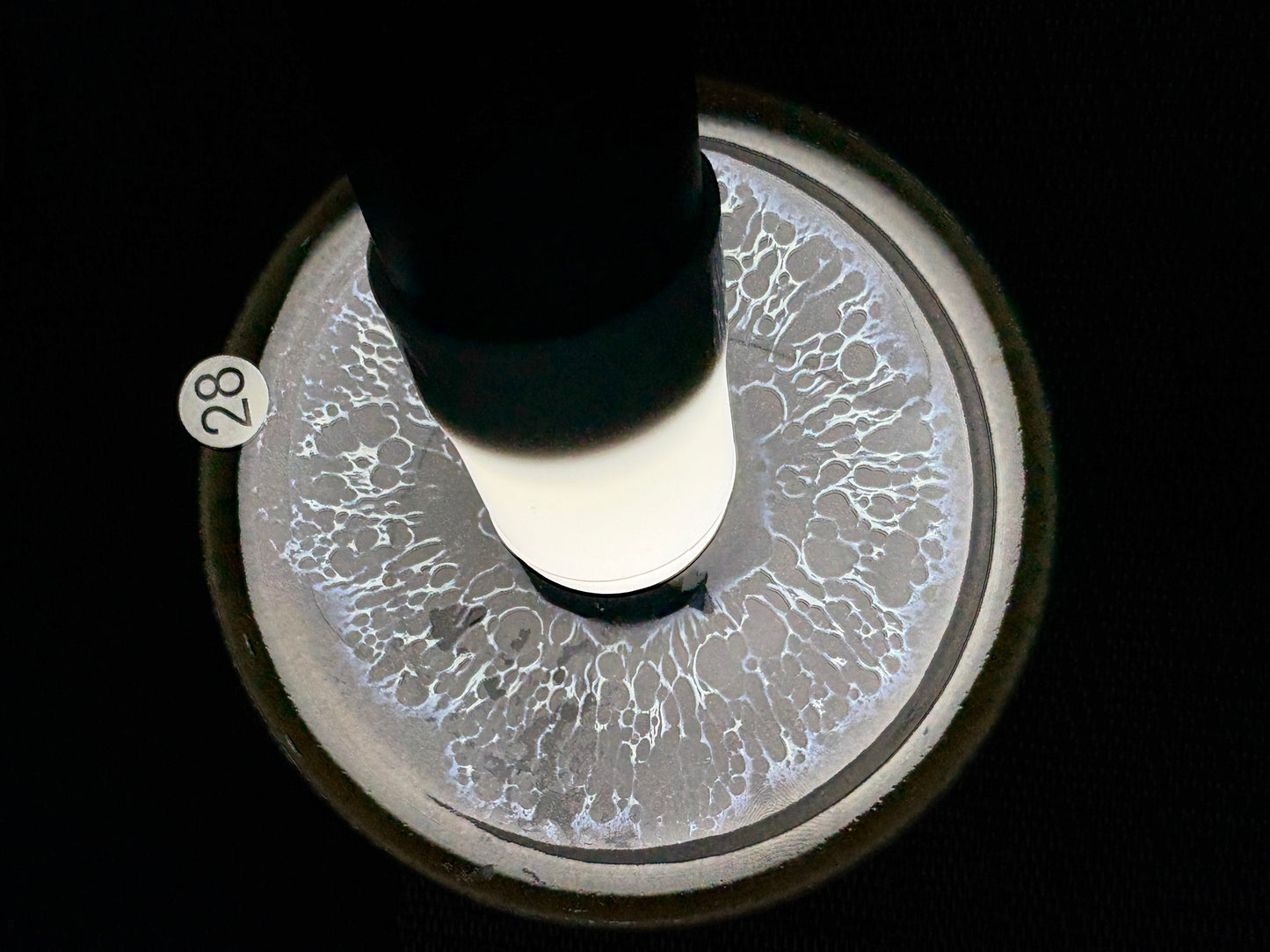 【Michael Pick】08.21