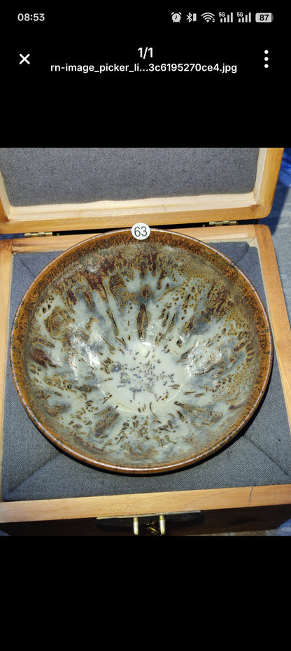 Anna For noga Master Lin