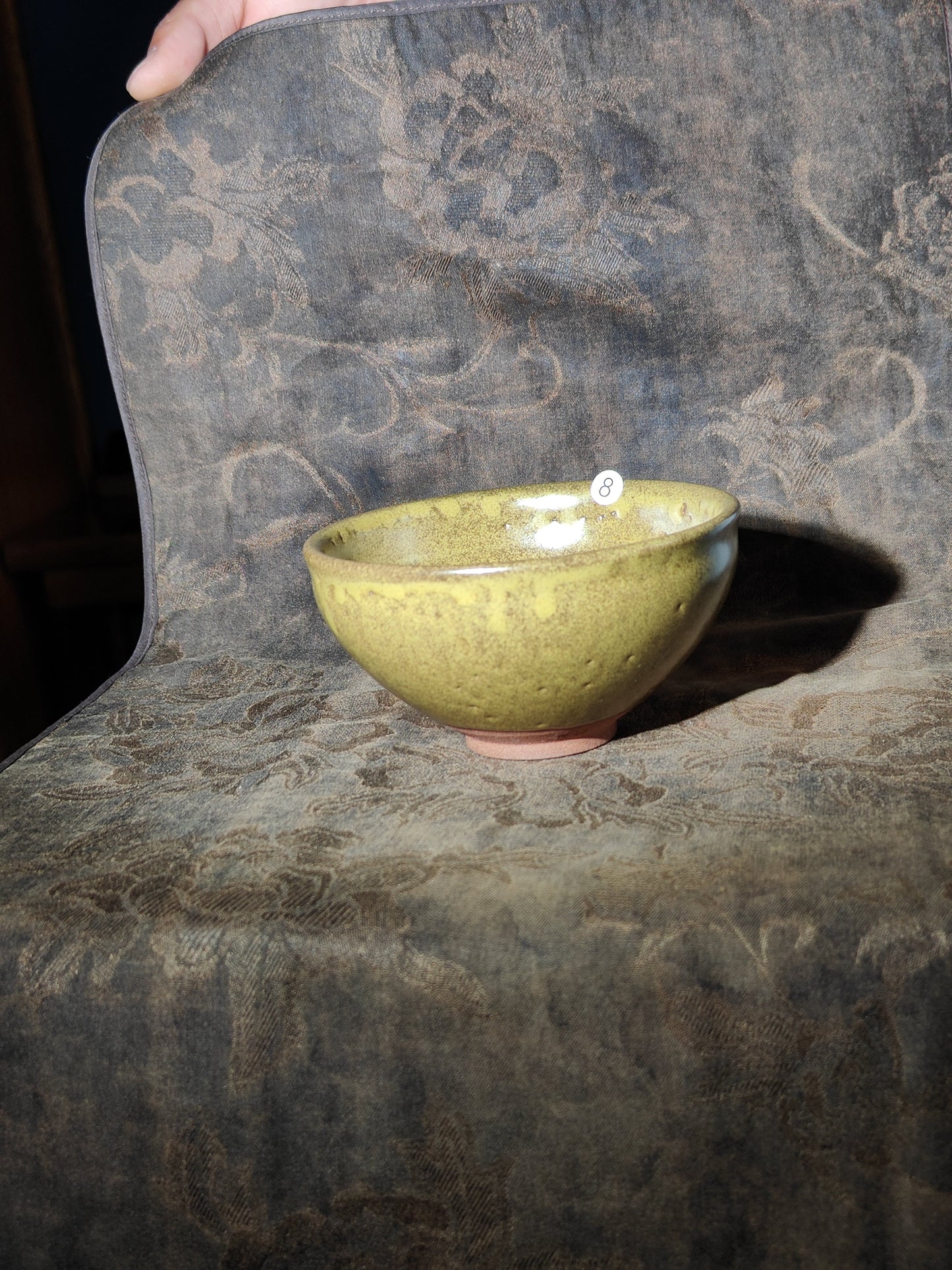 Anna For noga Master Lin