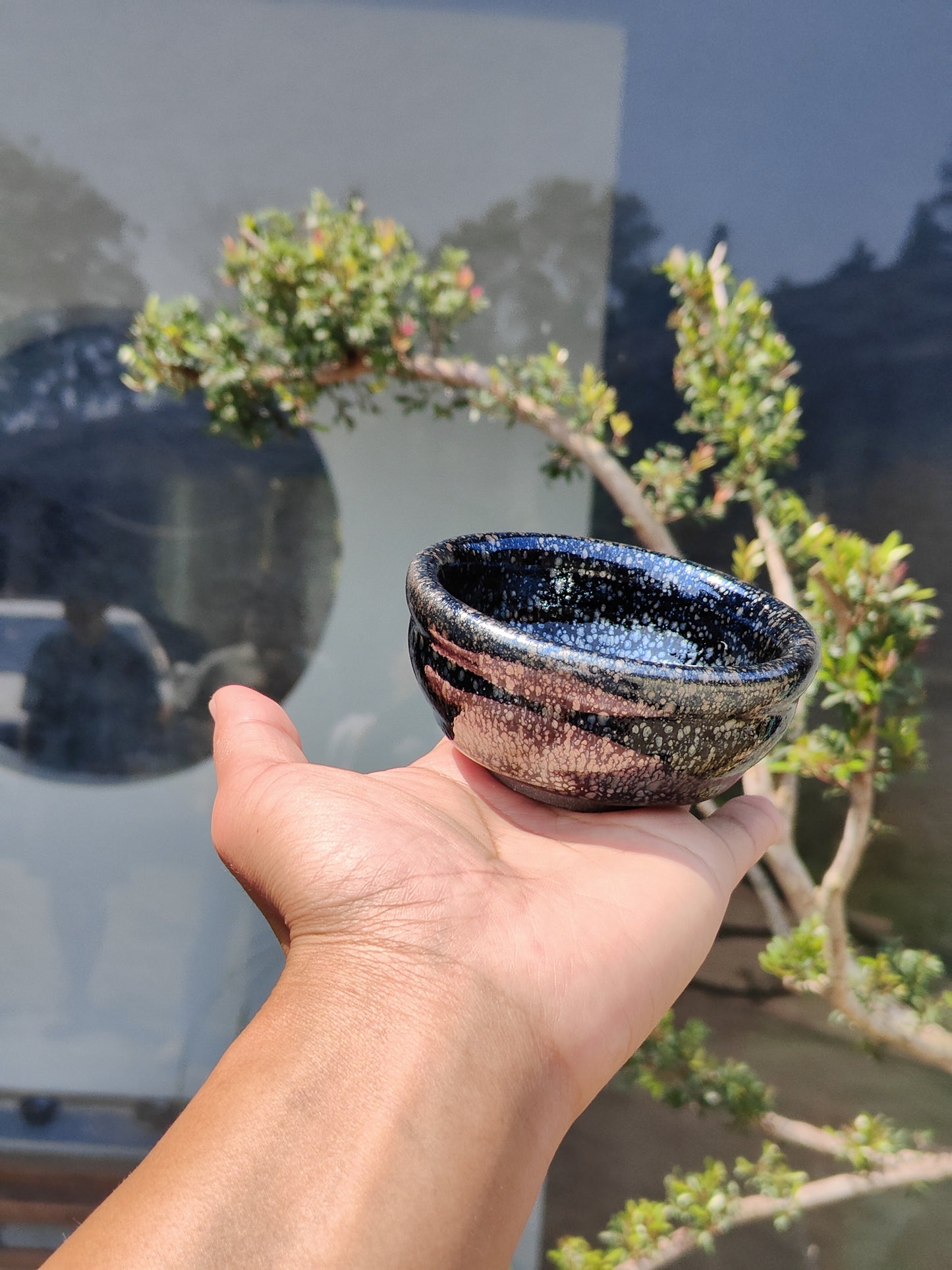 Anna For noga Master Lin