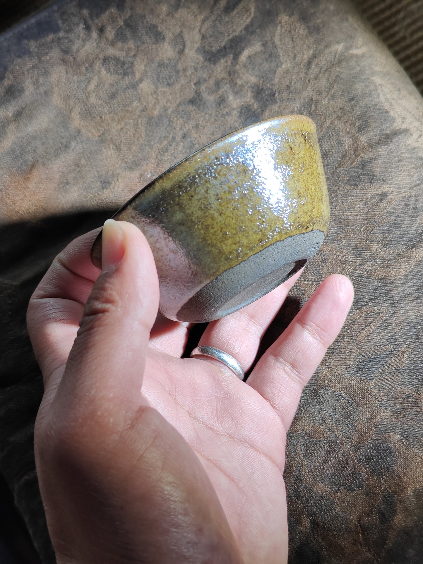 Anna For noga Master Lin